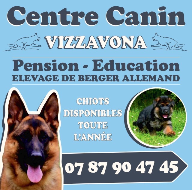 Vizzavona - Ouverture de notre centre canin a Lamanon (13) 