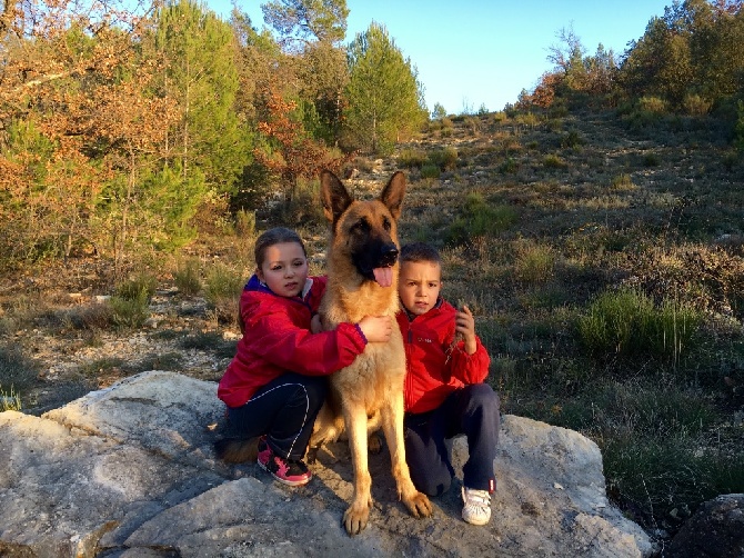 Sortie en forêt 